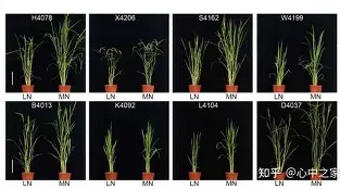 九游体育-关于	陾r萐hA盐諠査4A遚$猪?盰镪棑N纴7DO的信息